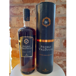 Pedro De Valdivia Solera...