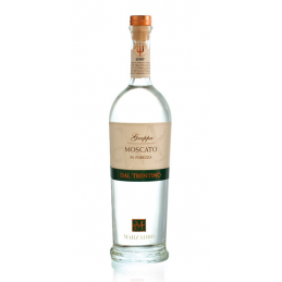 Grappa Moscato In Purezza  0,7l  41%  vol.